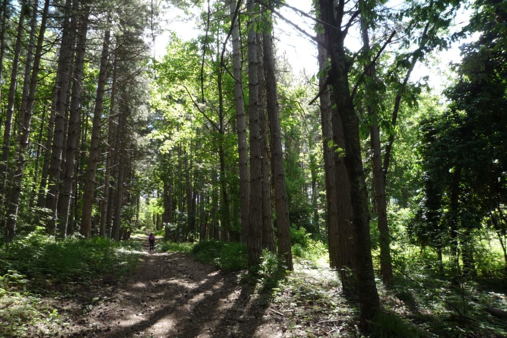 Parco naturale Cesane