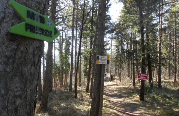 Cesane Bike Park